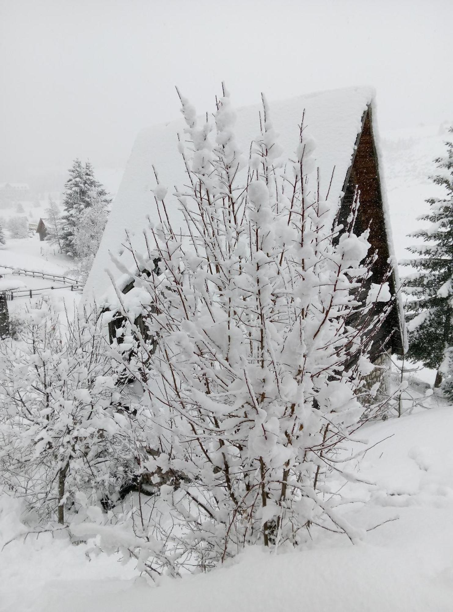 Apartamento Durmitor Žabljak Exterior foto