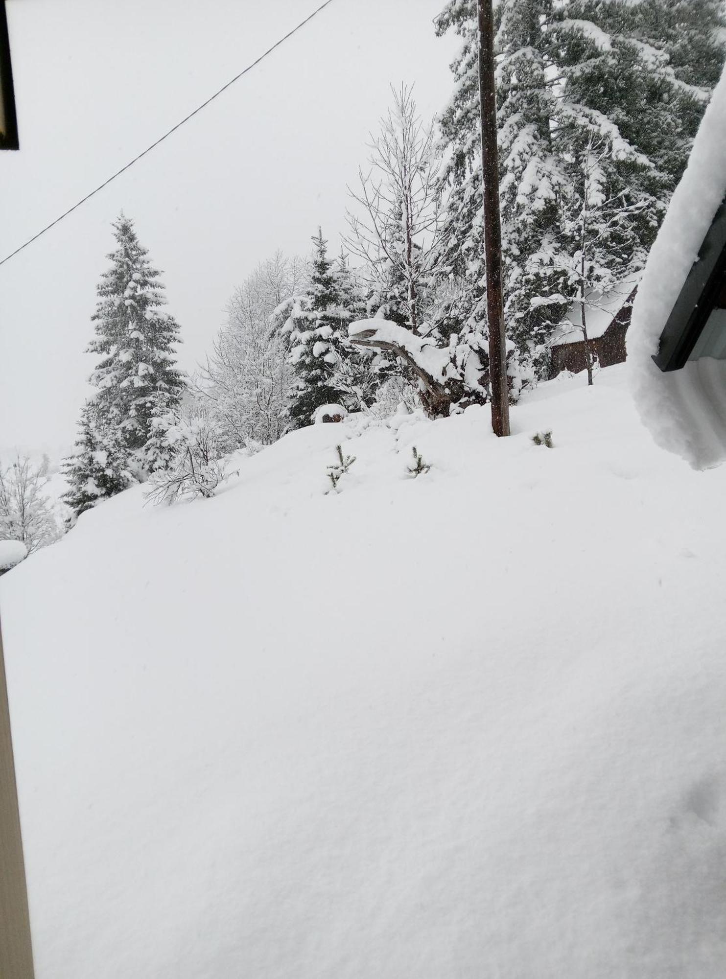 Apartamento Durmitor Žabljak Exterior foto