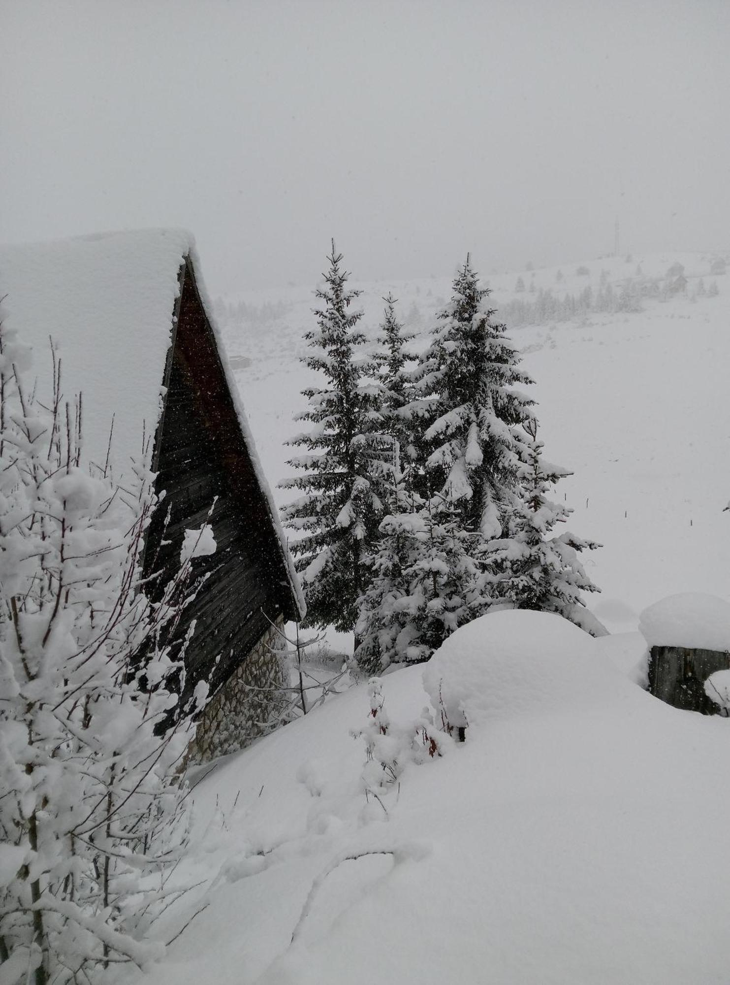 Apartamento Durmitor Žabljak Exterior foto