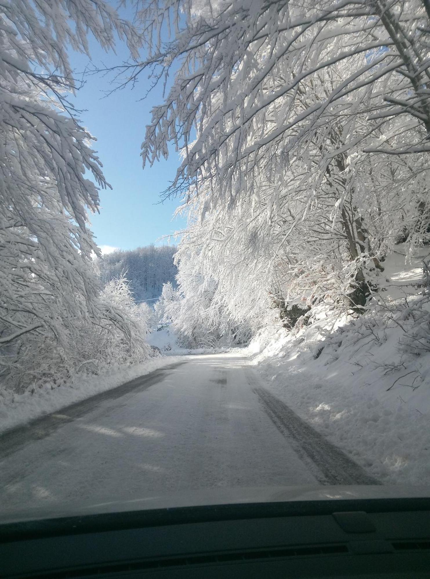 Apartamento Durmitor Žabljak Exterior foto